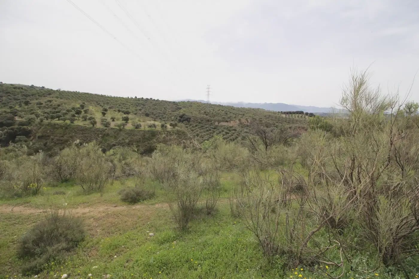 Finca/Herregård til salgs i Jun - € 110 000 (Ref: 9837182)