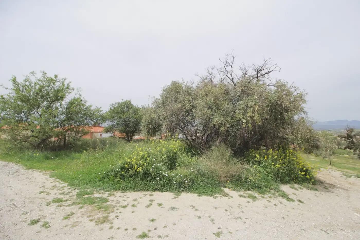 Finca/Herregård til salgs i Jun - € 110 000 (Ref: 9837182)