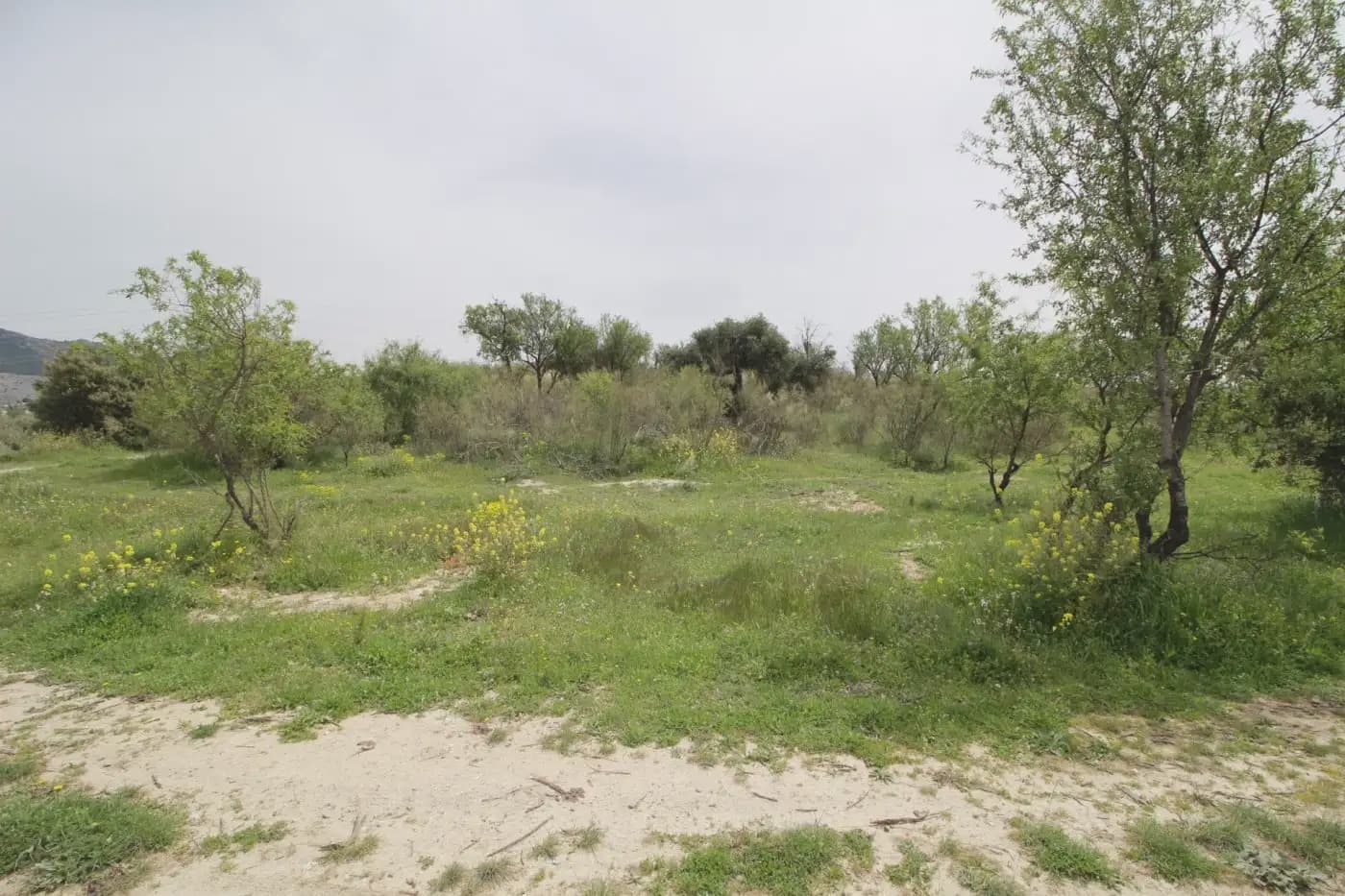 Finca/Herregård til salgs i Jun - € 110 000 (Ref: 9837182)