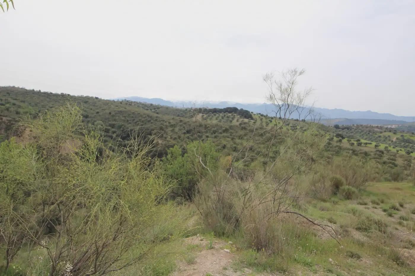 Finca/Herregård til salgs i Jun - € 110 000 (Ref: 9837182)