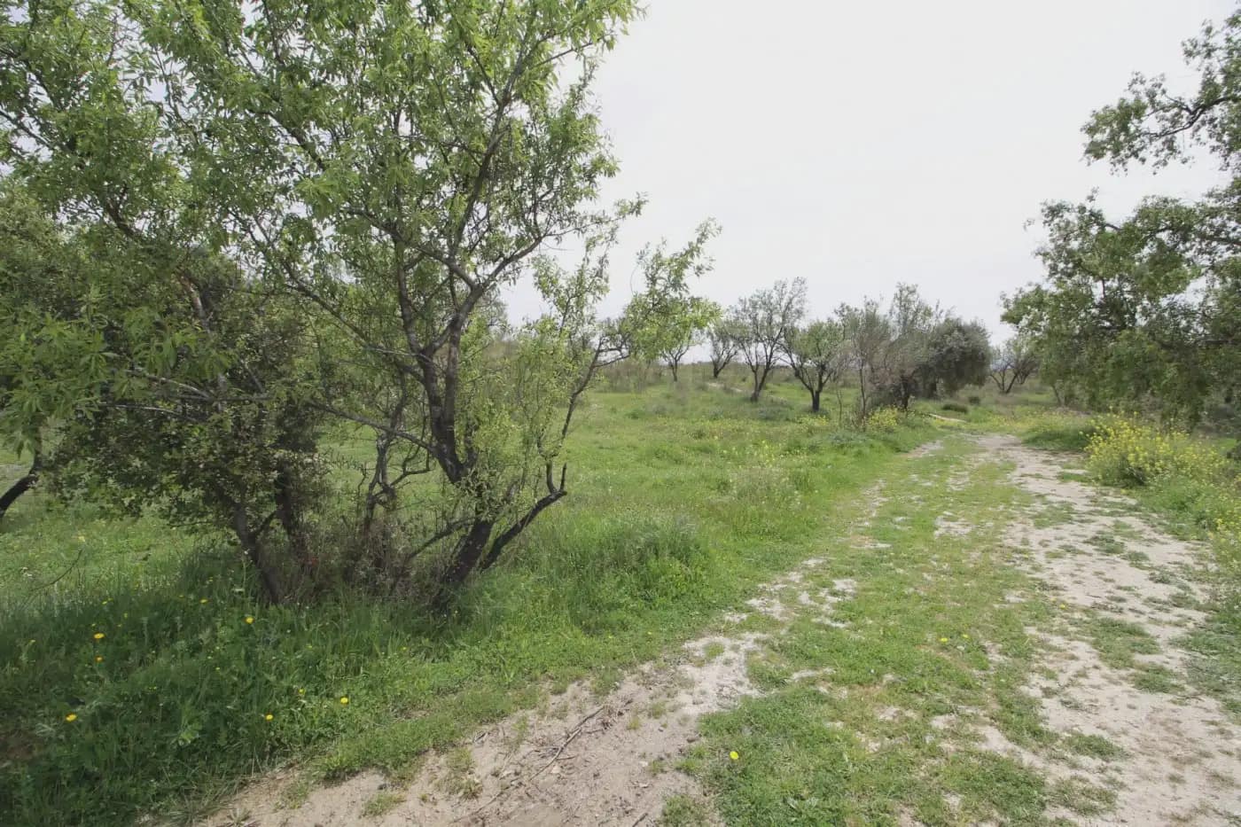 Finca/Herregård til salgs i Jun - € 110 000 (Ref: 9837182)
