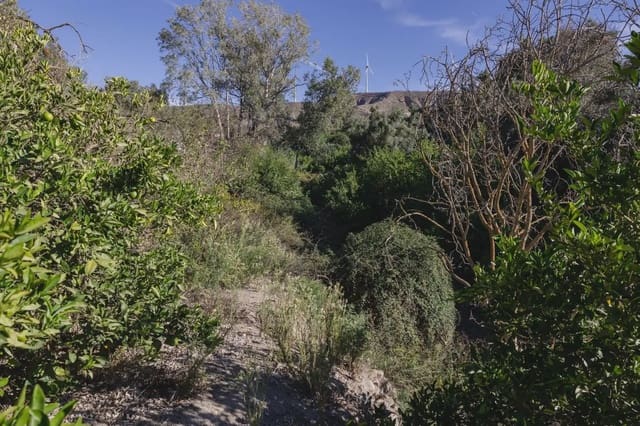 Terre non Aménagée à vendre à Murchas, Lecrín - 120 000 € (Ref: 9837183)