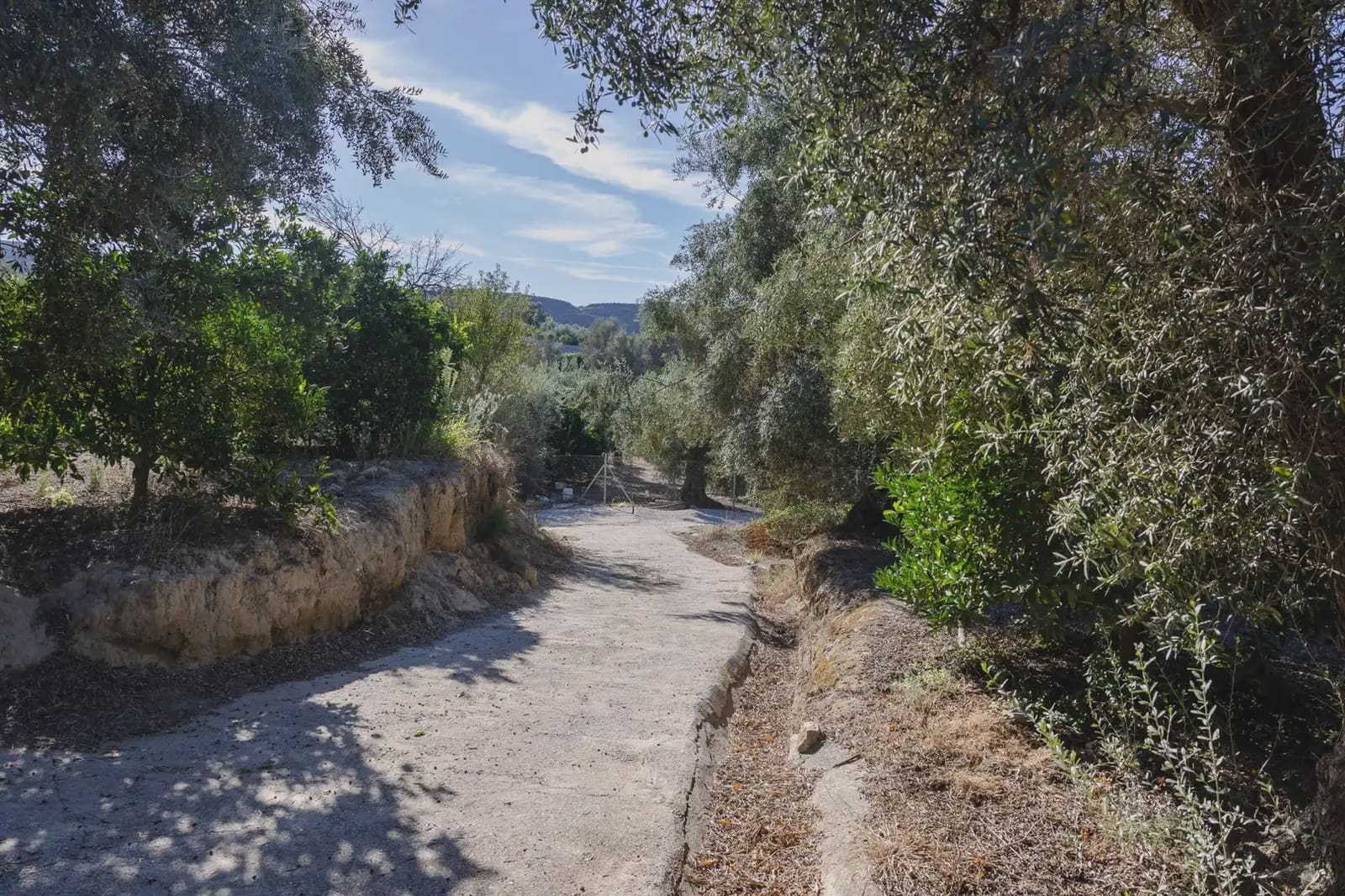 Terreno Não Urbanizado para venda em Murchas - 120 000 € (Ref: 9837183)