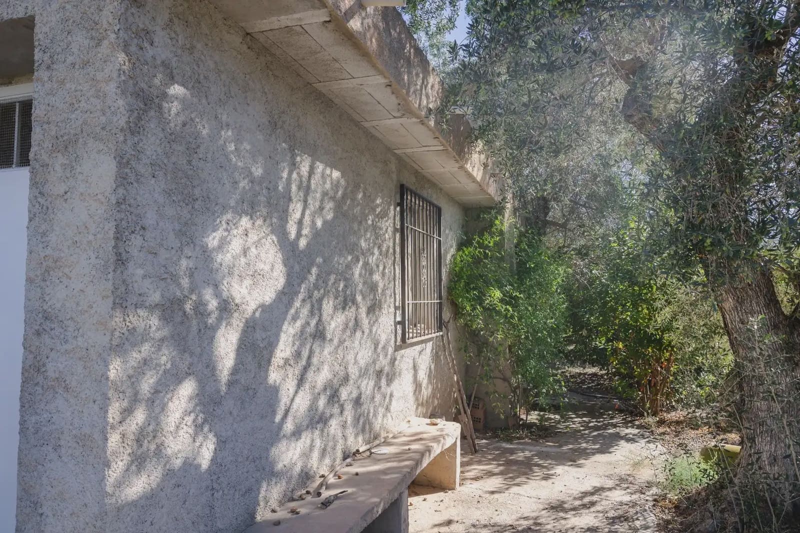 Terreno Não Urbanizado para venda em Murchas - 120 000 € (Ref: 9837183)