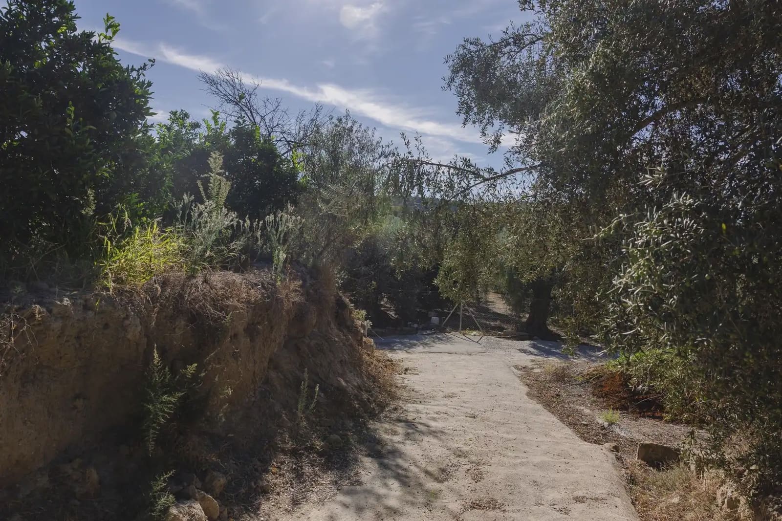 Terreno Não Urbanizado para venda em Murchas - 120 000 € (Ref: 9837183)