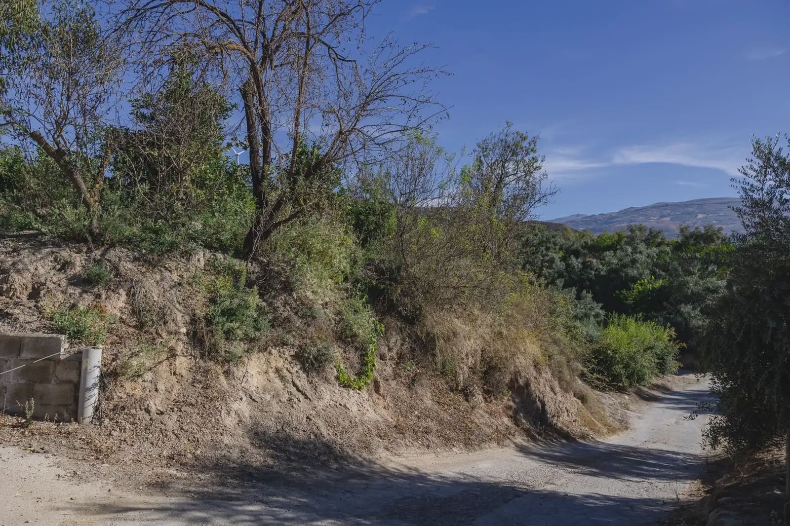 Terreno Não Urbanizado para venda em Murchas - 120 000 € (Ref: 9837183)