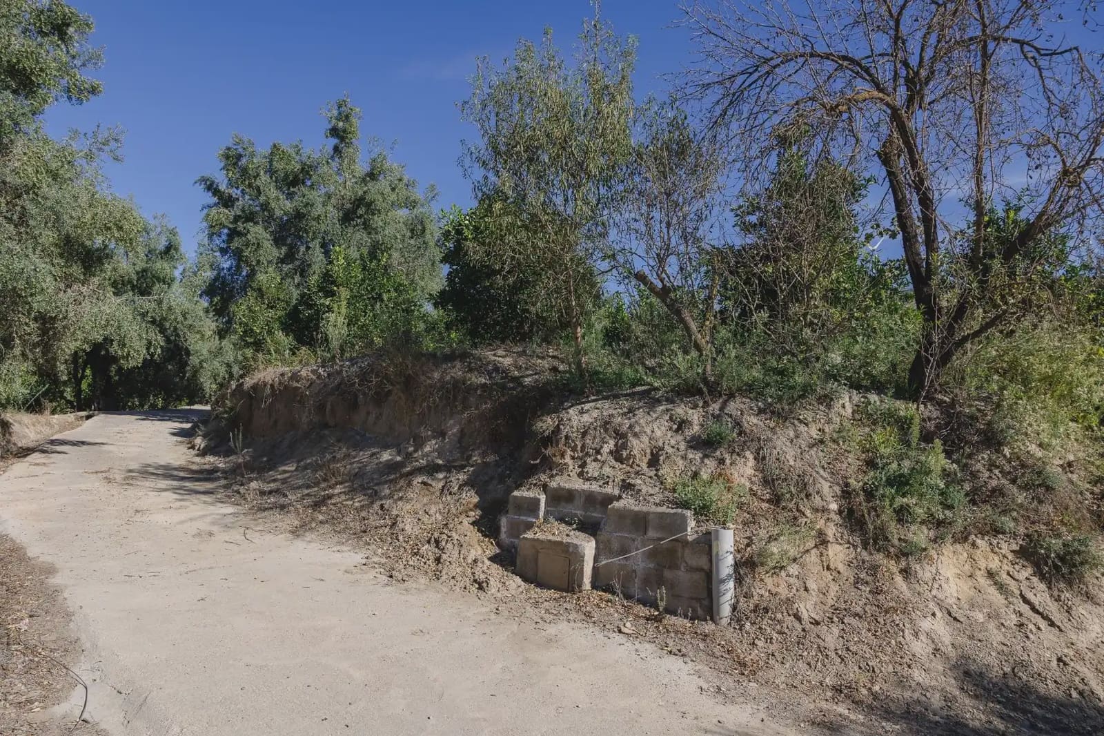 Terreno Não Urbanizado para venda em Murchas - 120 000 € (Ref: 9837183)