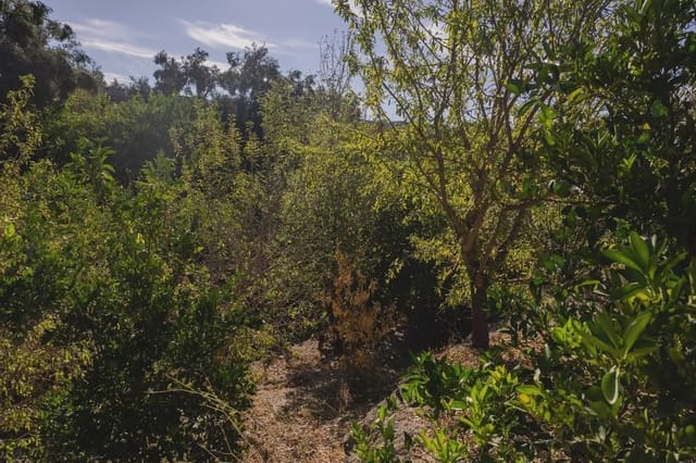 Terre non Aménagée à vendre à Murchas, Lecrín - 120 000 € (Ref: 9837183)