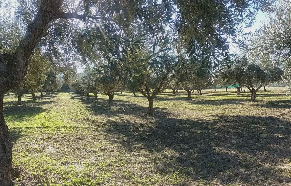 Quinta/Casa Rural para venda em La Zubia - 78 000 € (Ref: 9837187)