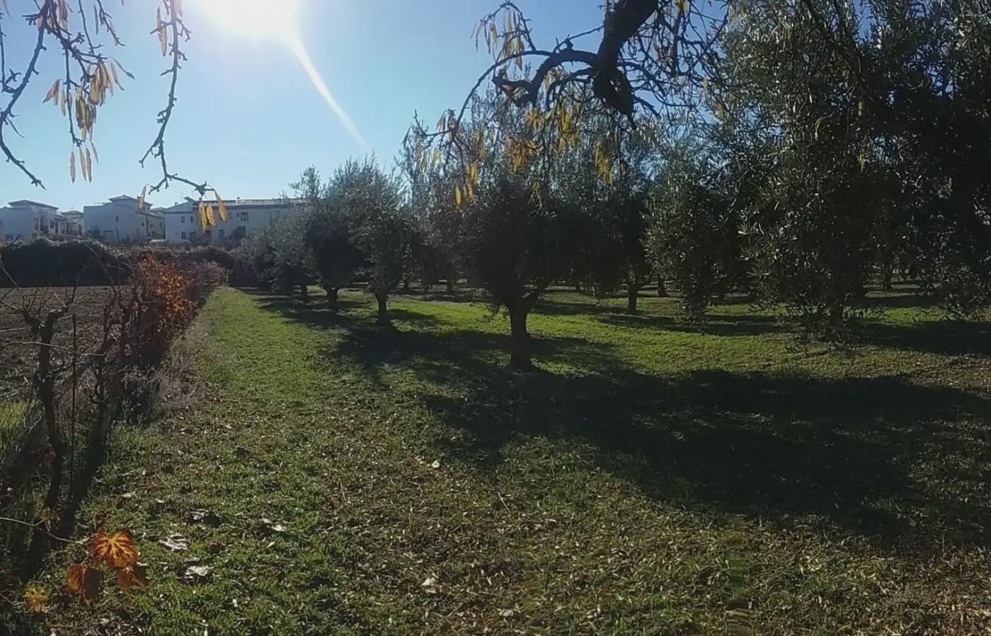 Quinta/Casa Rural para venda em La Zubia - 78 000 € (Ref: 9837187)