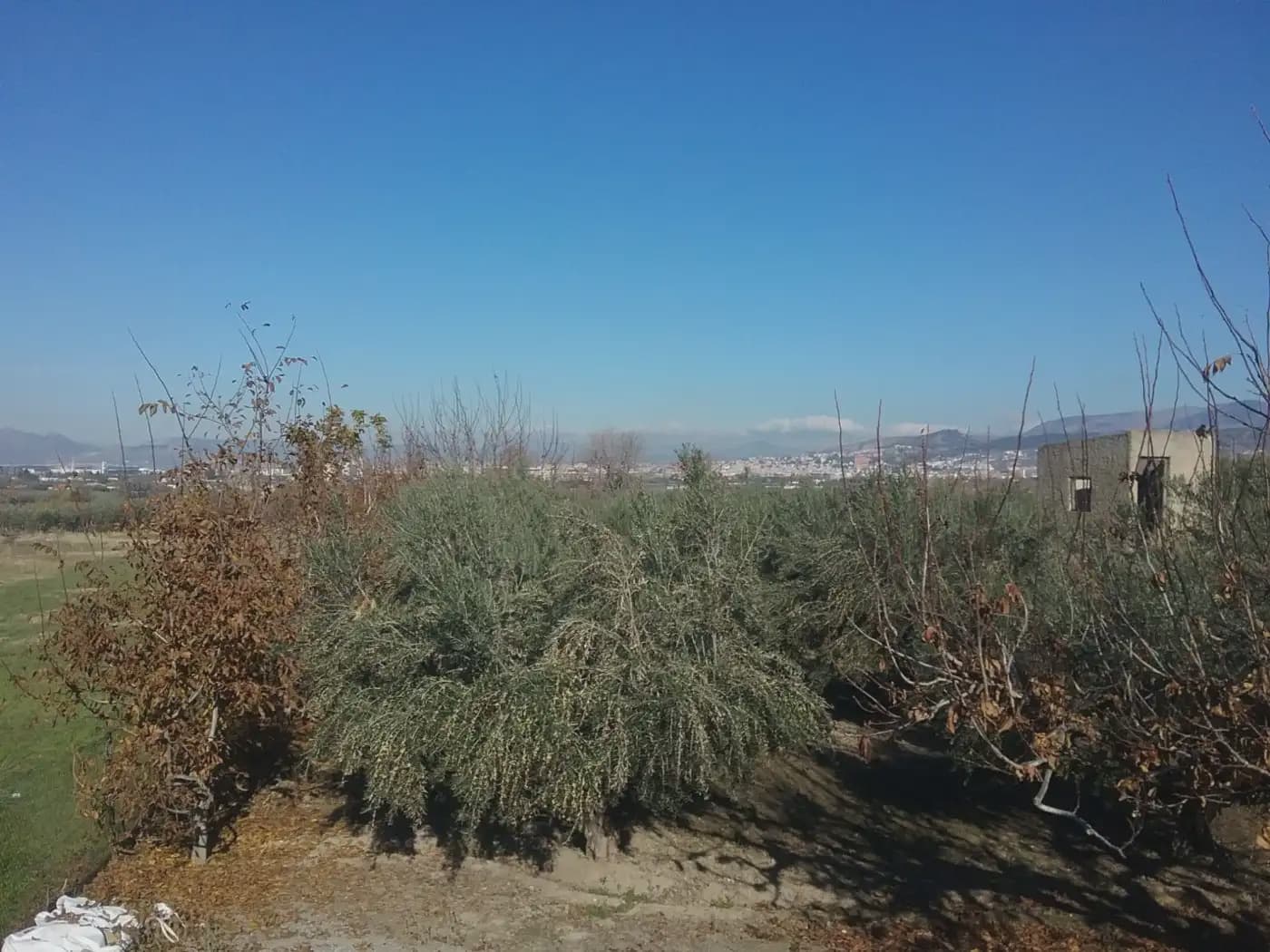 Quinta/Casa Rural para venda em La Zubia - 78 000 € (Ref: 9837187)