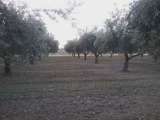 Quinta/Casa Rural para venda em La Zubia - 78 000 € (Ref: 9837187)