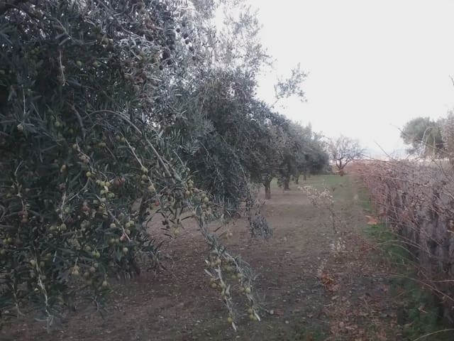 Quinta/Casa Rural para venda em La Zubia - 78 000 € (Ref: 9837187)