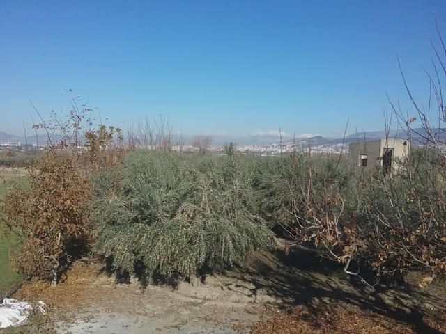 Quinta/Casa Rural para venda em La Zubia - 78 000 € (Ref: 9837187)