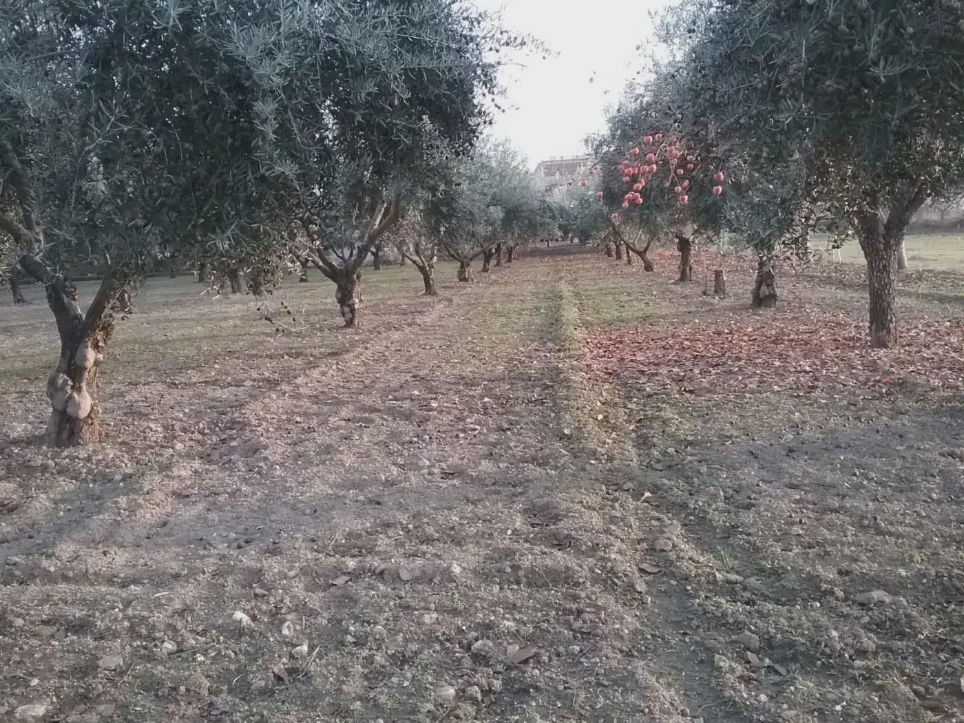 Quinta/Casa Rural para venda em La Zubia - 78 000 € (Ref: 9837187)