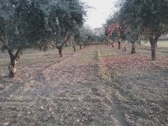 Quinta/Casa Rural para venda em La Zubia - 78 000 € (Ref: 9837187)