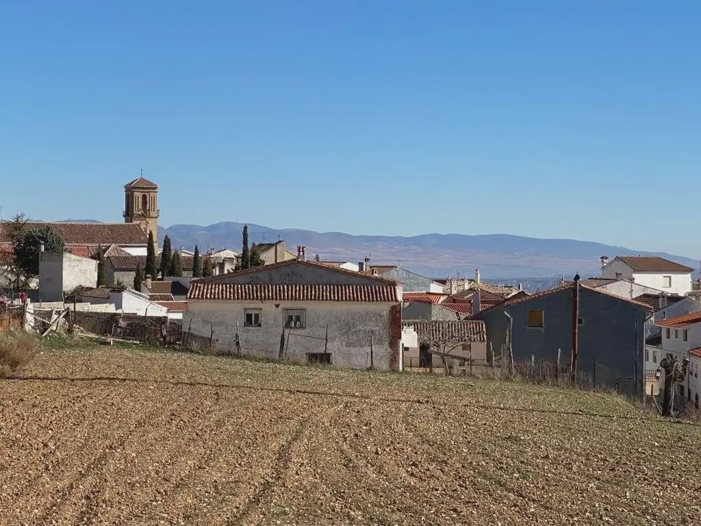 Terrain à Bâtir à vendre à Diezma - 250 000 € (Ref: 9837193)