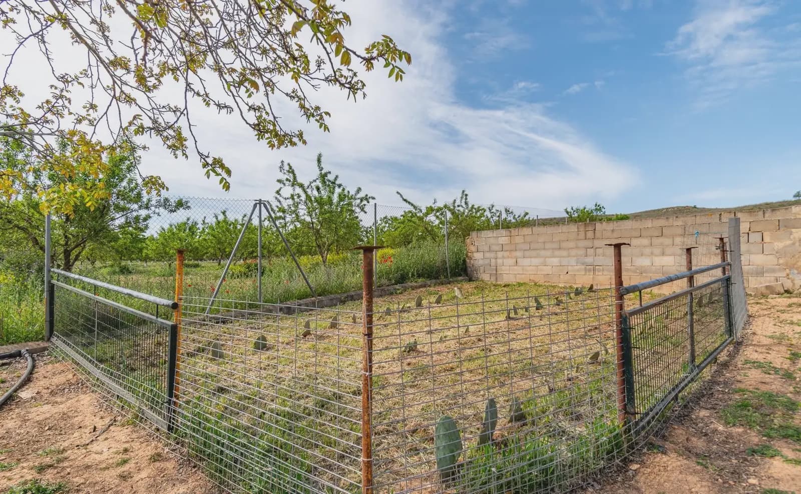 Finca/Casa Rural en Padul en venta - 330.000 € (Ref: 9837199)