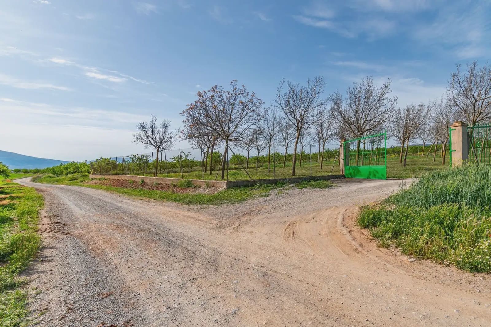 Finca/Casa Rural en Padul en venta - 330.000 € (Ref: 9837199)