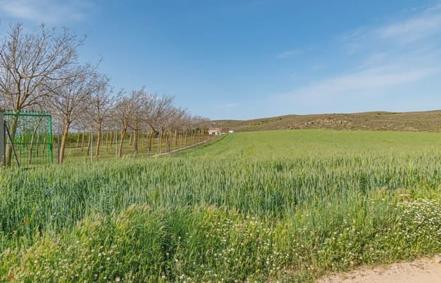 Finca/Herregård til salgs i Padul - € 330 000 (Ref: 9837199)
