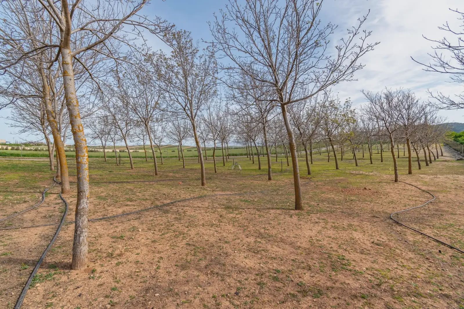 Finca/Casa Rural en Padul en venta - 330.000 € (Ref: 9837199)