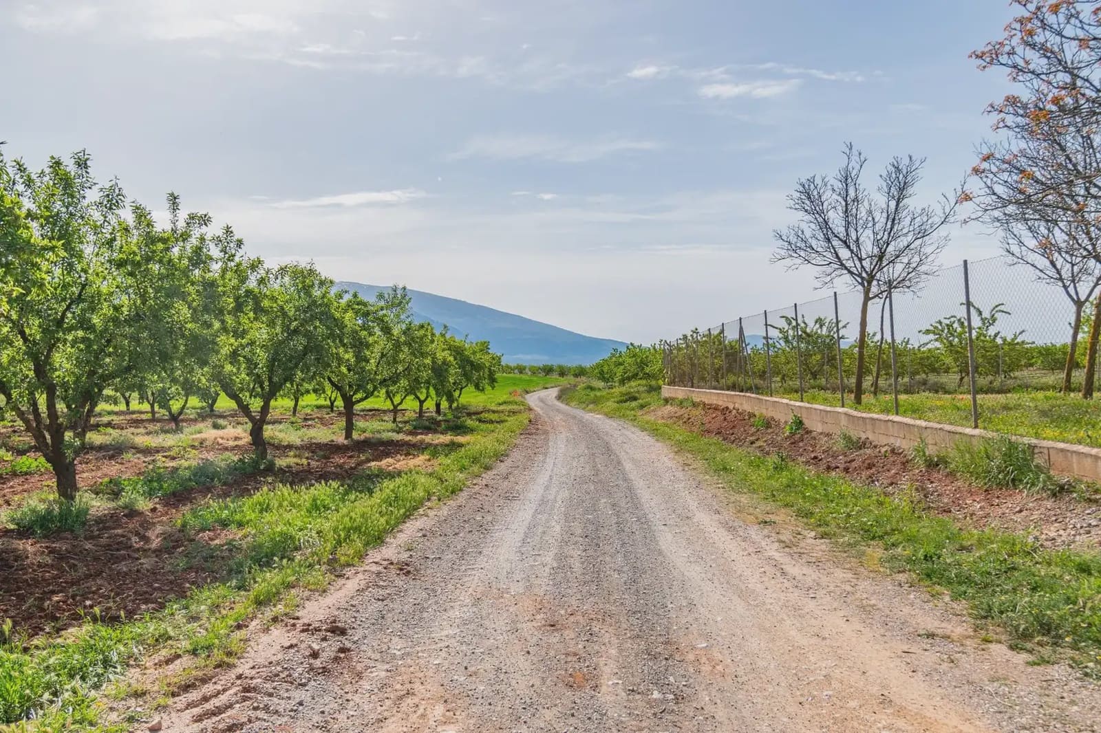 Finca/Casa Rural en Padul en venta - 330.000 € (Ref: 9837199)
