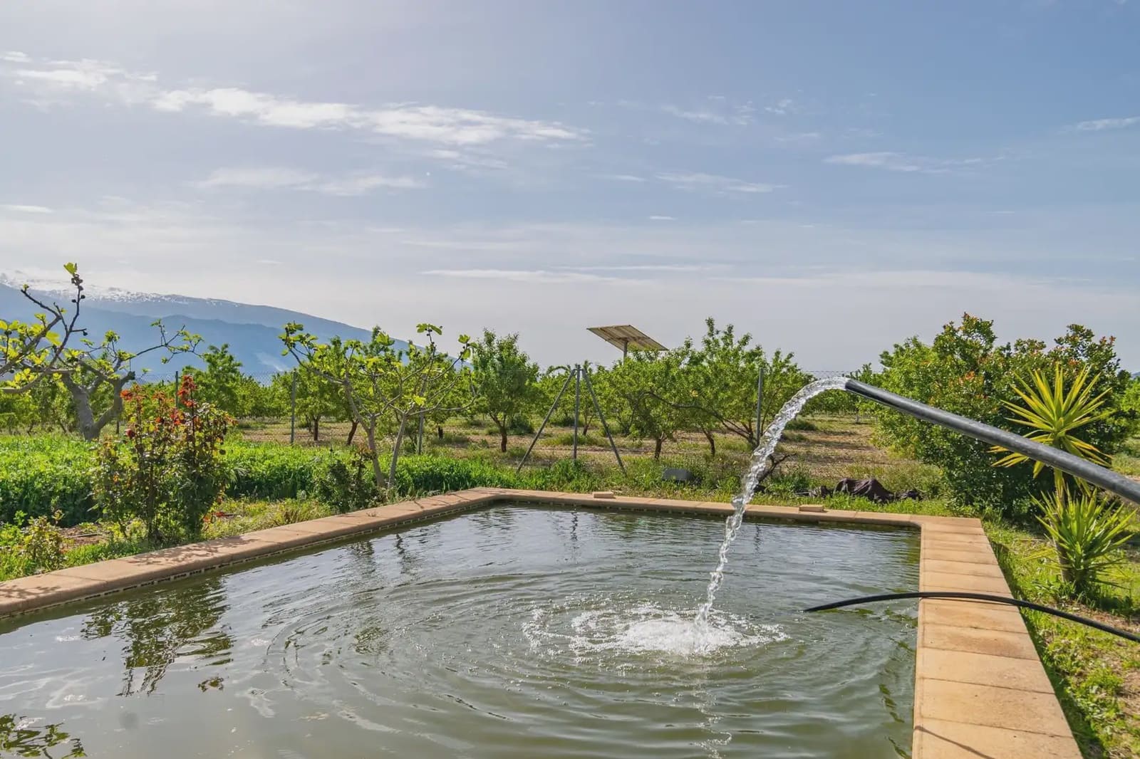 Finca/Casa Rural en Padul en venta - 330.000 € (Ref: 9837199)