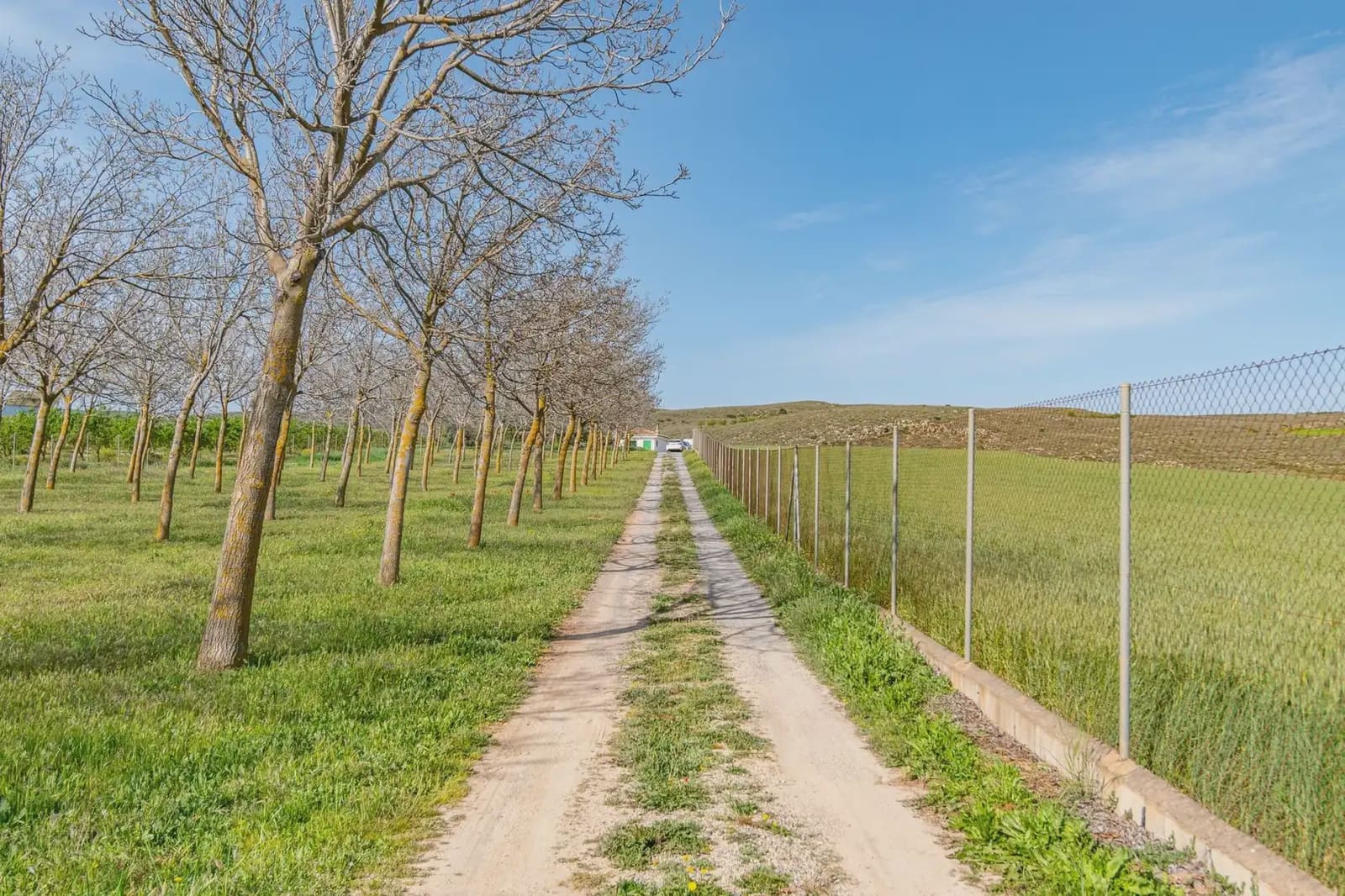 Finca/Casa Rural en Padul en venta - 330.000 € (Ref: 9837199)