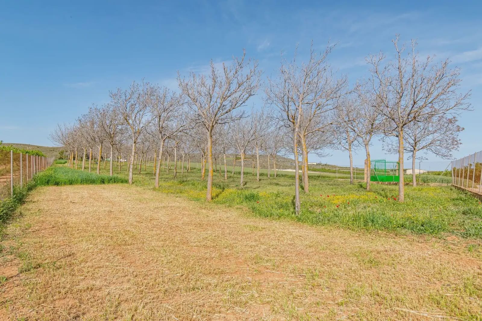 Finca/Casa Rural en Padul en venta - 330.000 € (Ref: 9837199)
