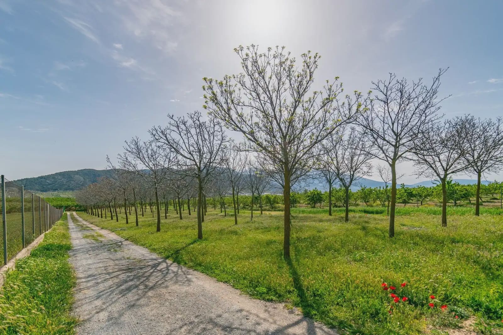 Finca/Casa Rural en Padul en venta - 330.000 € (Ref: 9837199)