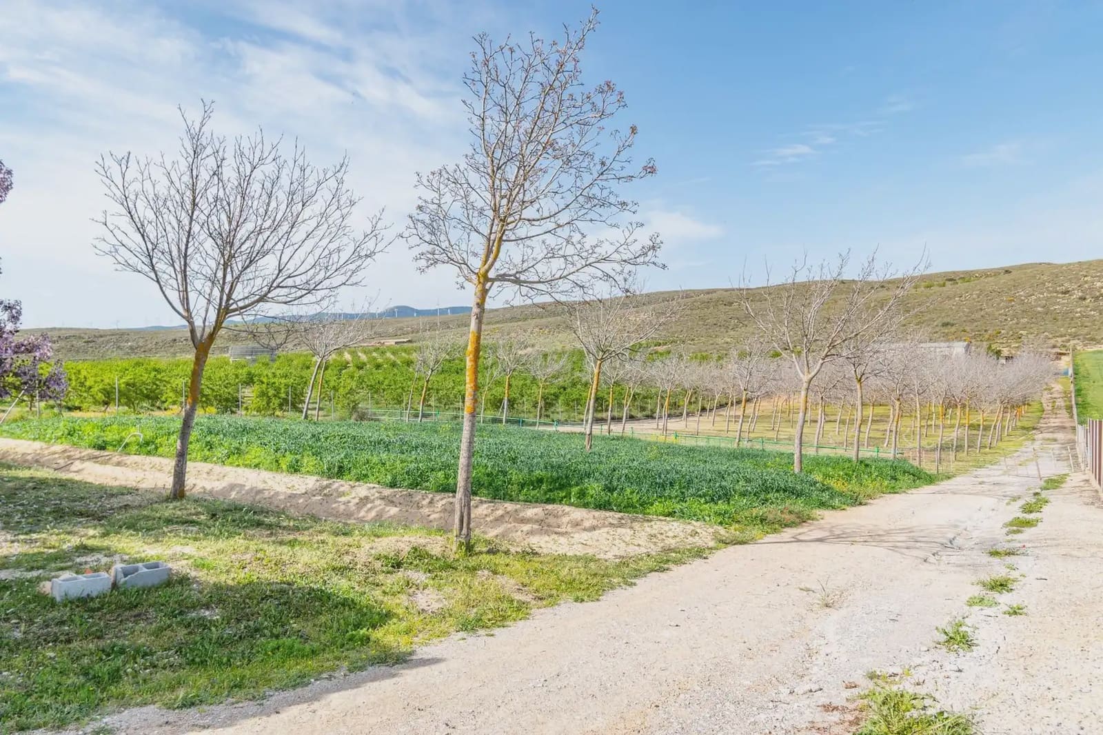 Finca/Casa Rural en Padul en venta - 330.000 € (Ref: 9837199)