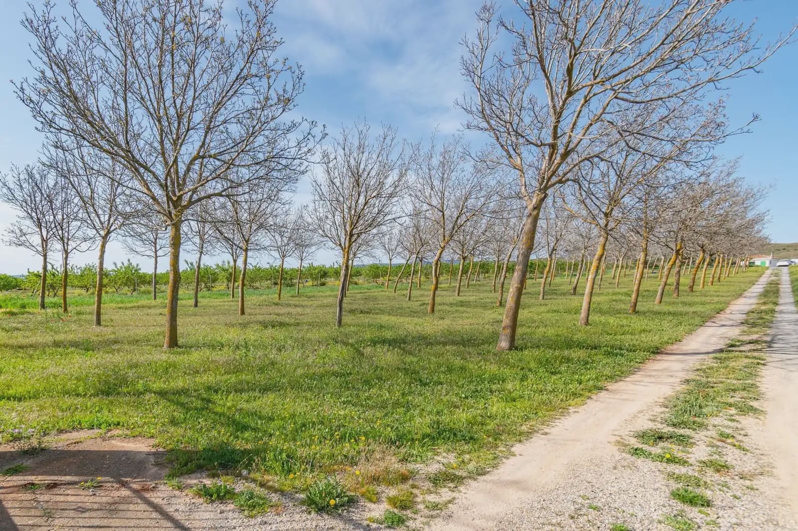 Finca/Casa Rural en Padul en venta - 330.000 € (Ref: 9837199)