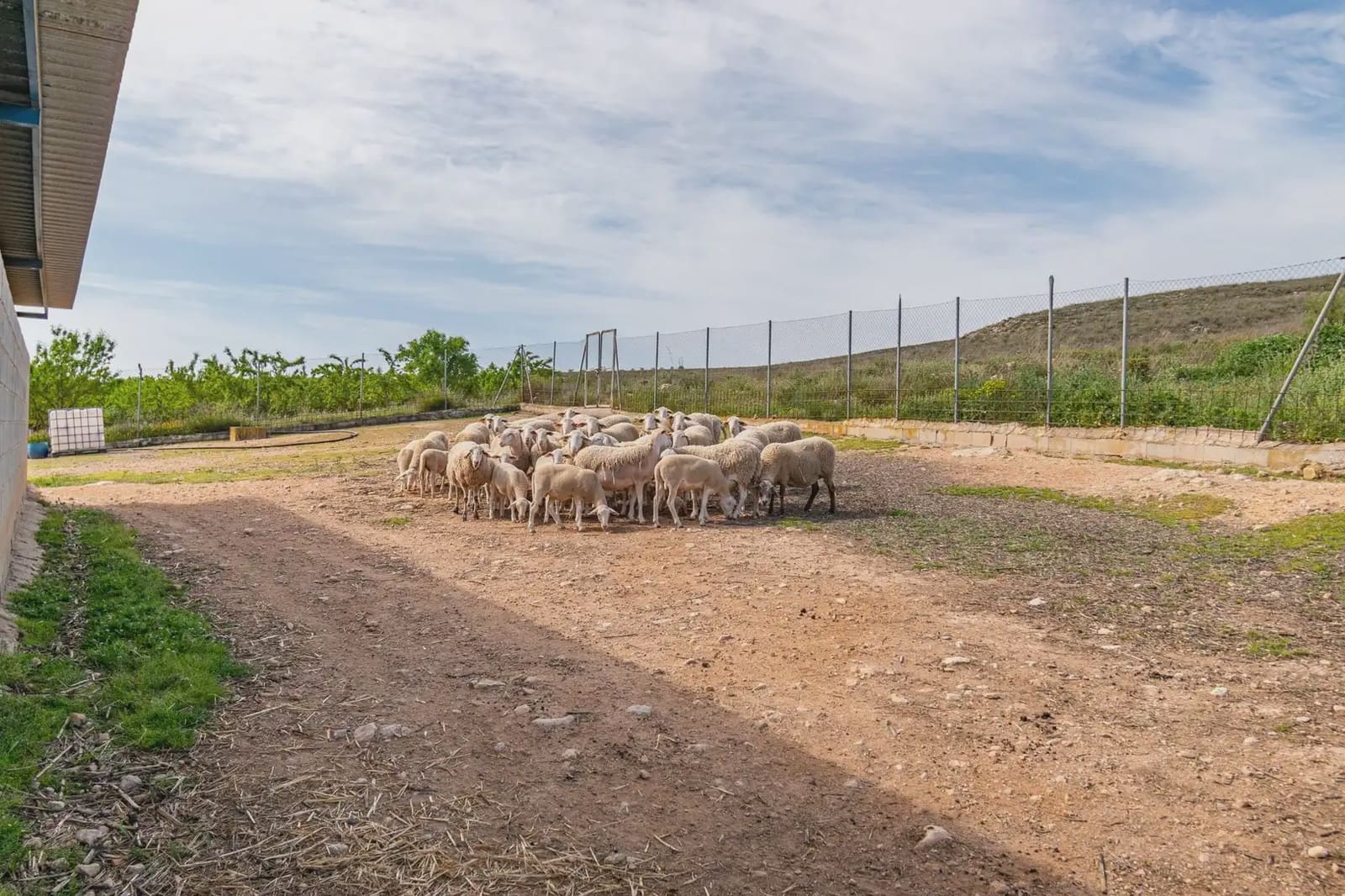 Finca/Casa Rural en Padul en venta - 330.000 € (Ref: 9837199)