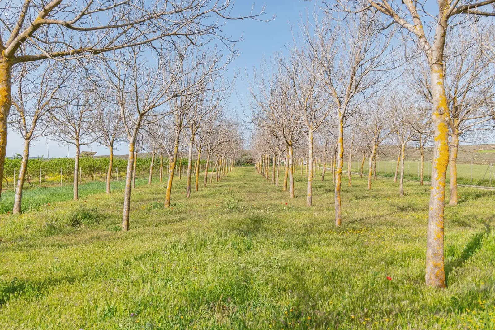 Finca/Casa Rural en Padul en venta - 330.000 € (Ref: 9837199)