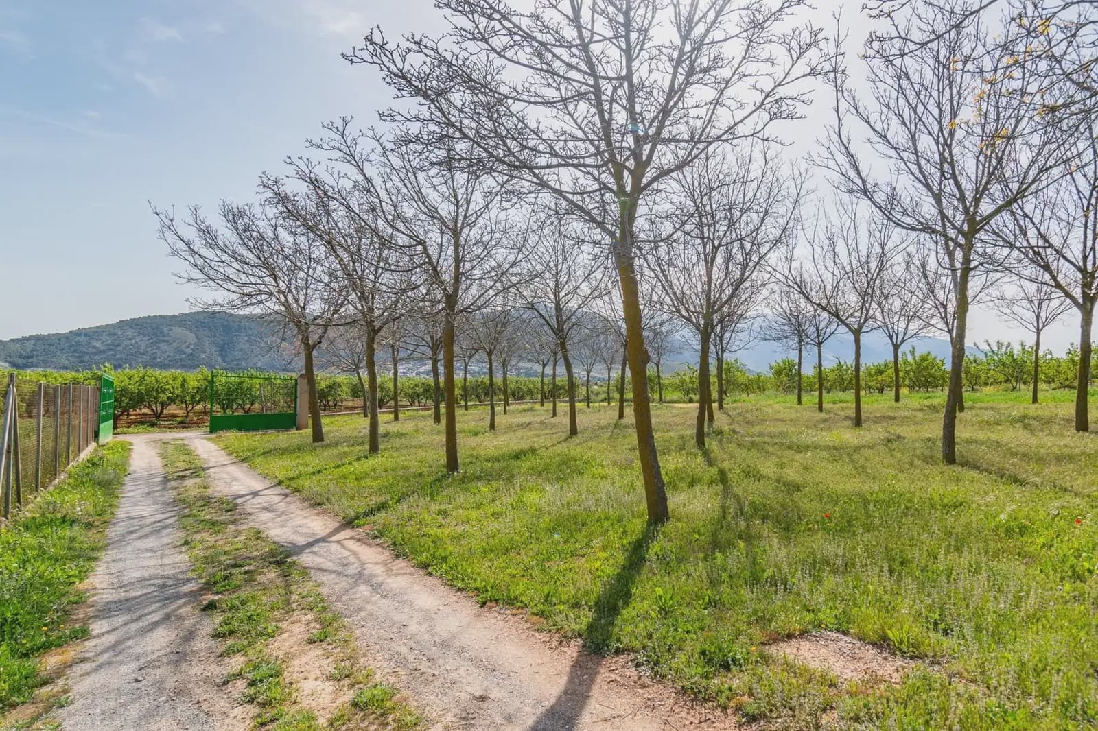 Finca/Casa Rural en Padul en venta - 330.000 € (Ref: 9837199)