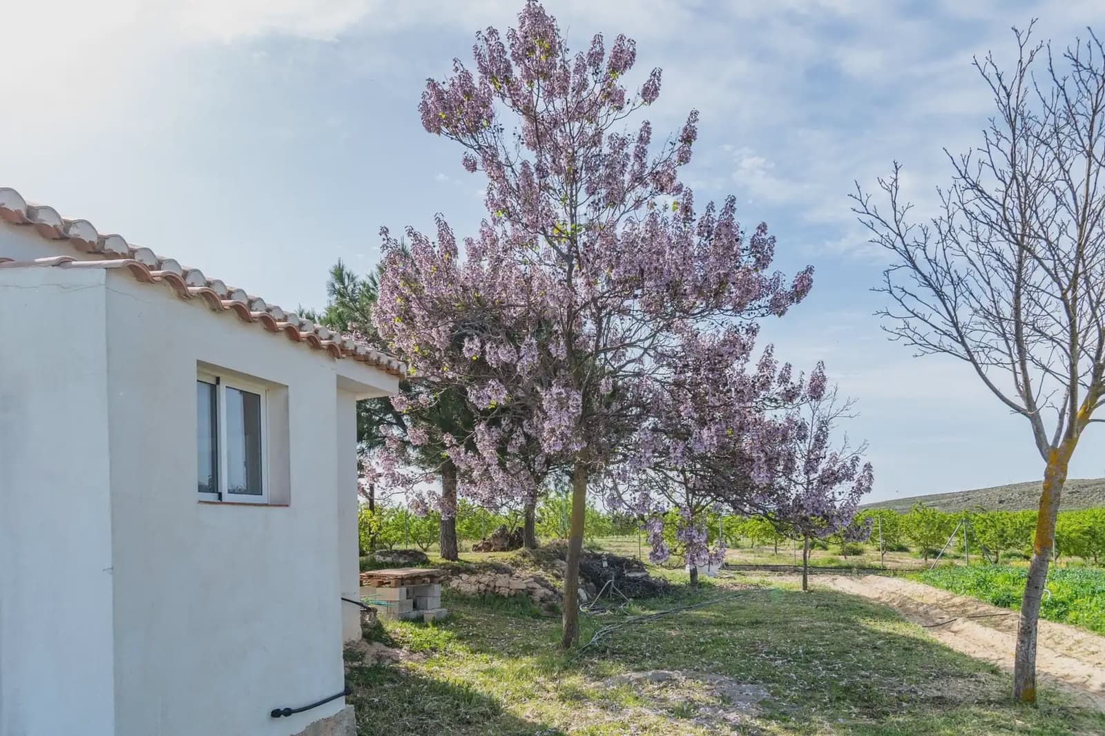Finca/Casa Rural en Padul en venta - 330.000 € (Ref: 9837199)