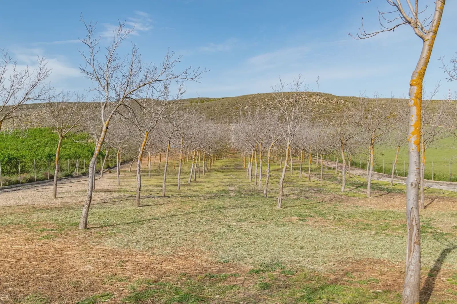 Finca/Casa Rural en Padul en venta - 330.000 € (Ref: 9837199)