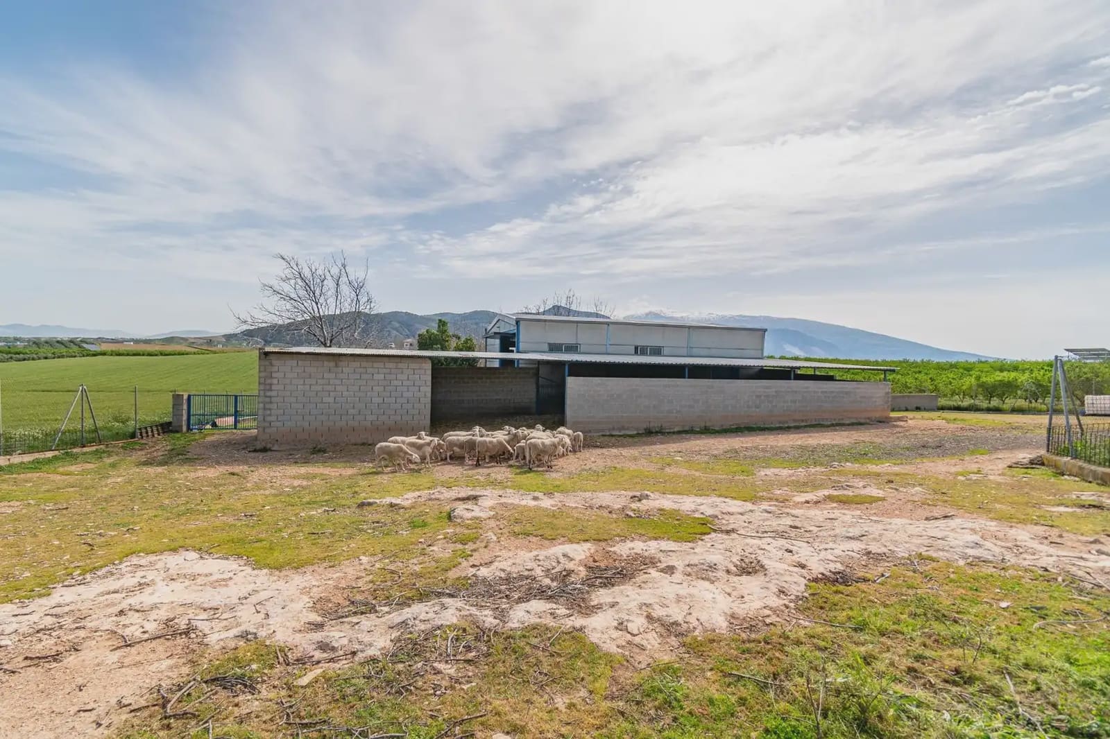 Finca/Casa Rural en Padul en venta - 330.000 € (Ref: 9837199)