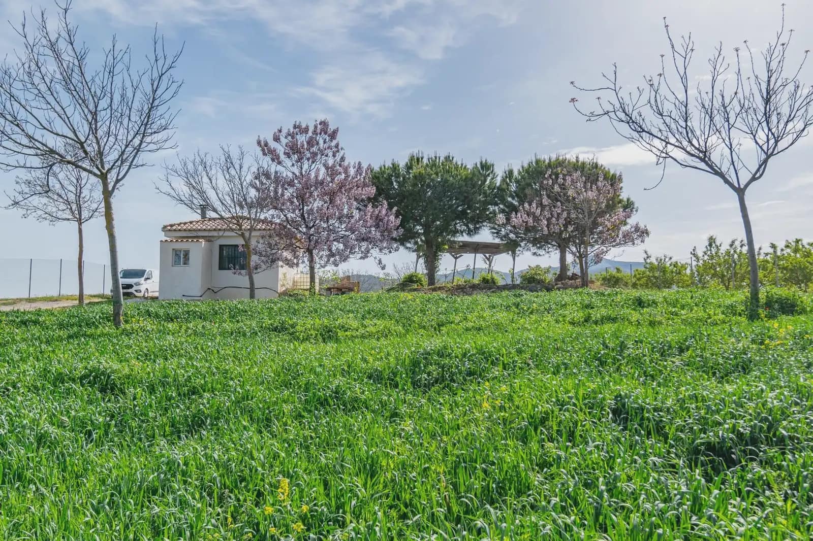 Finca/Casa Rural en Padul en venta - 330.000 € (Ref: 9837199)