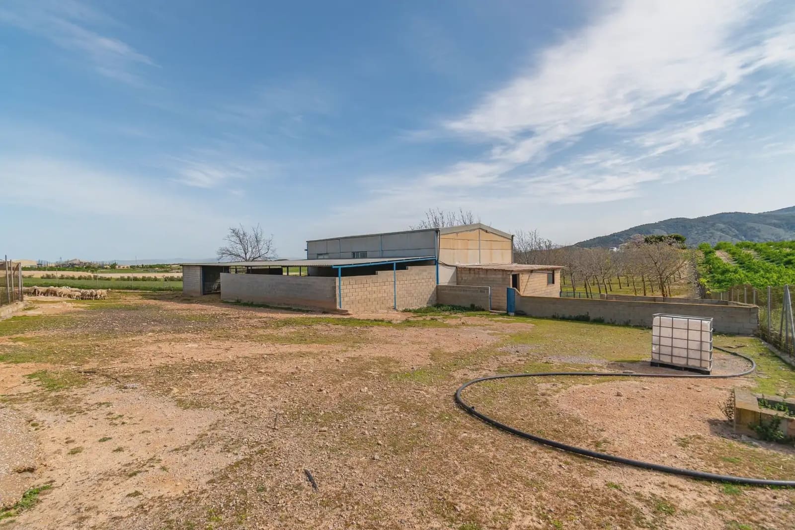 Finca/Casa Rural en Padul en venta - 330.000 € (Ref: 9837199)
