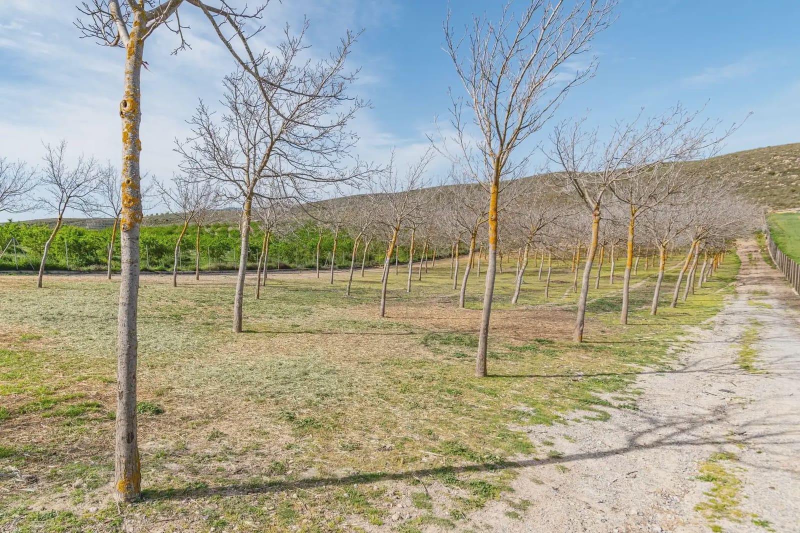 Finca/Casa Rural en Padul en venta - 330.000 € (Ref: 9837199)