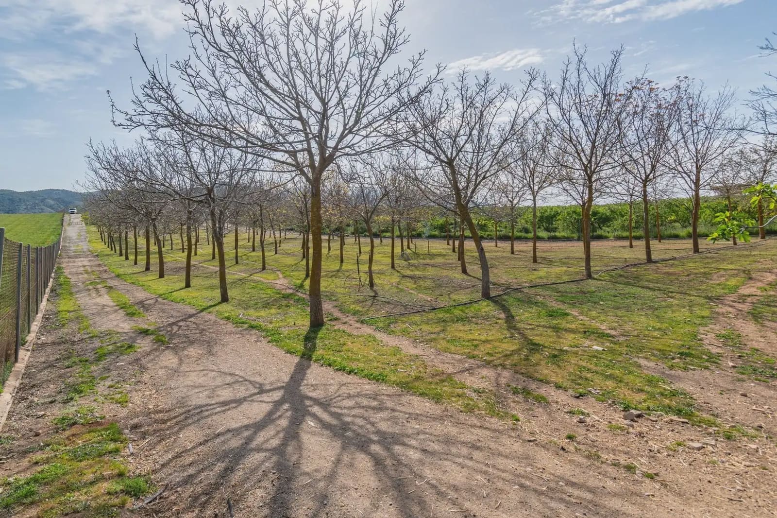 Finca/Casa Rural en Padul en venta - 330.000 € (Ref: 9837199)