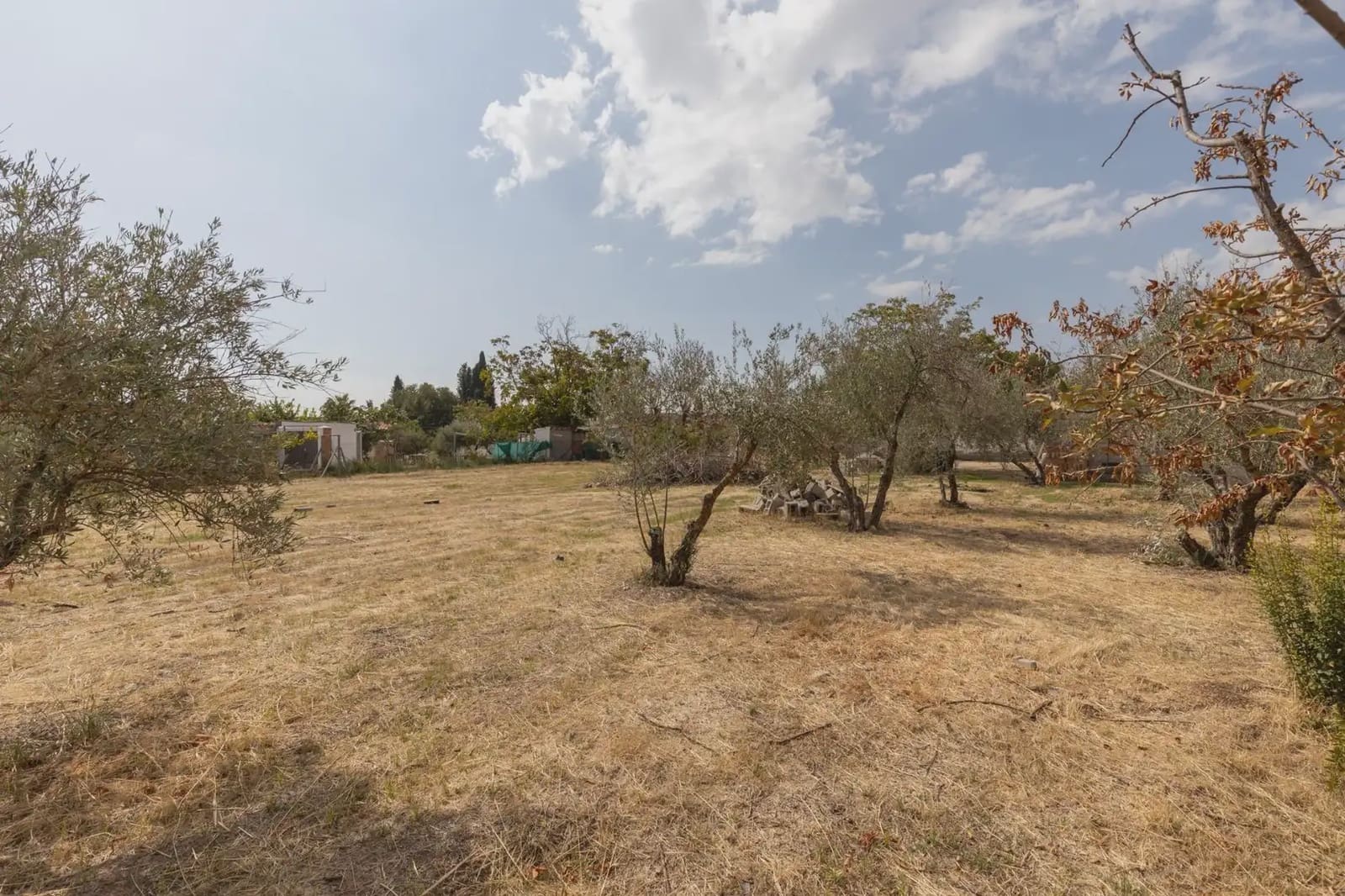 Finca/Casa Rural en Peligros en venta - 169.000 € (Ref: 9837241)