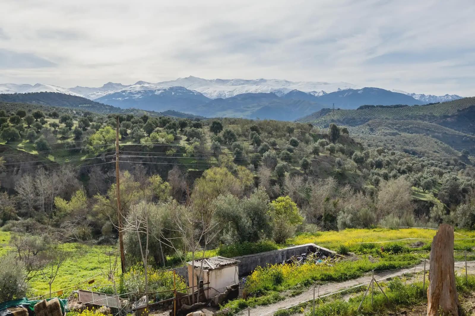 Bouwgrond te koop in Granada stad - € 485.000 (Ref: 9837248)