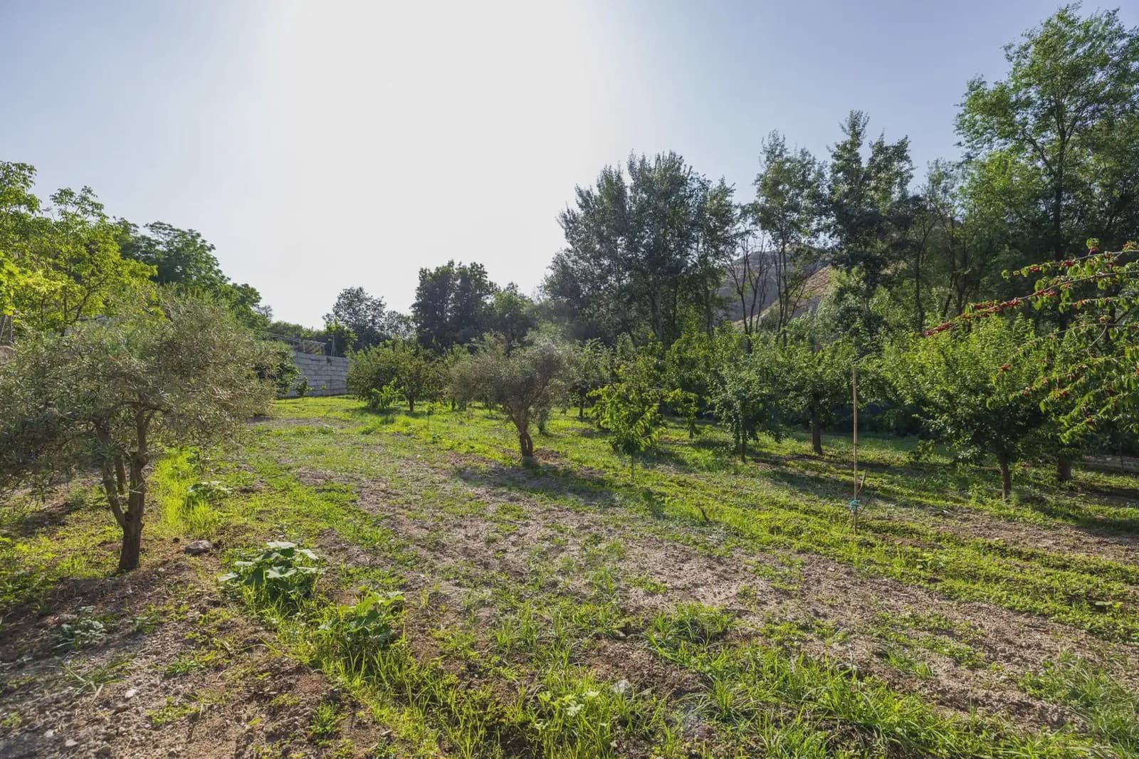 Grunde uden byggetilladelser til salg i Pinos Genil - € 138.000 (Ref: 9837273)