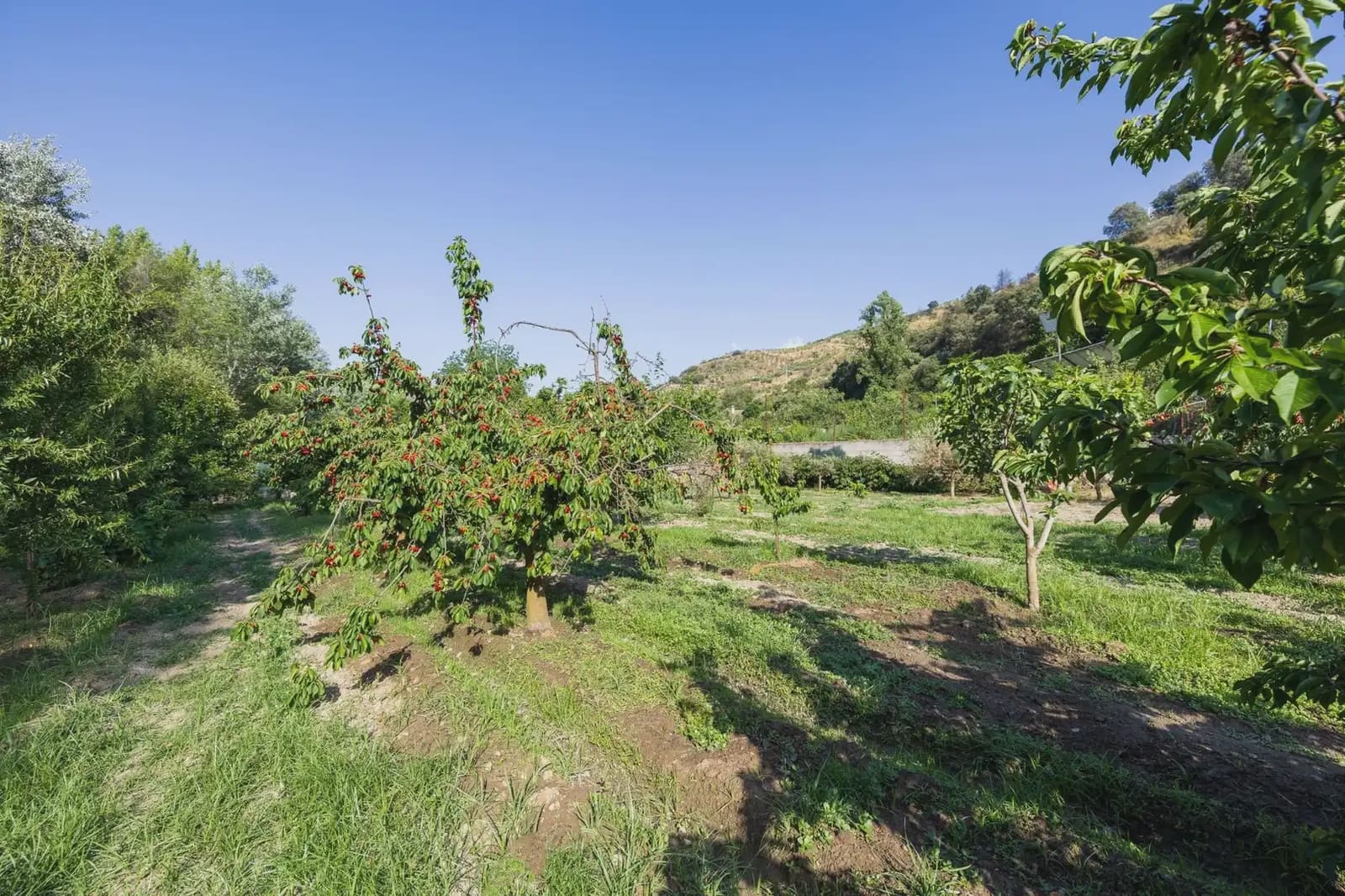 Grunde uden byggetilladelser til salg i Pinos Genil - € 138.000 (Ref: 9837273)