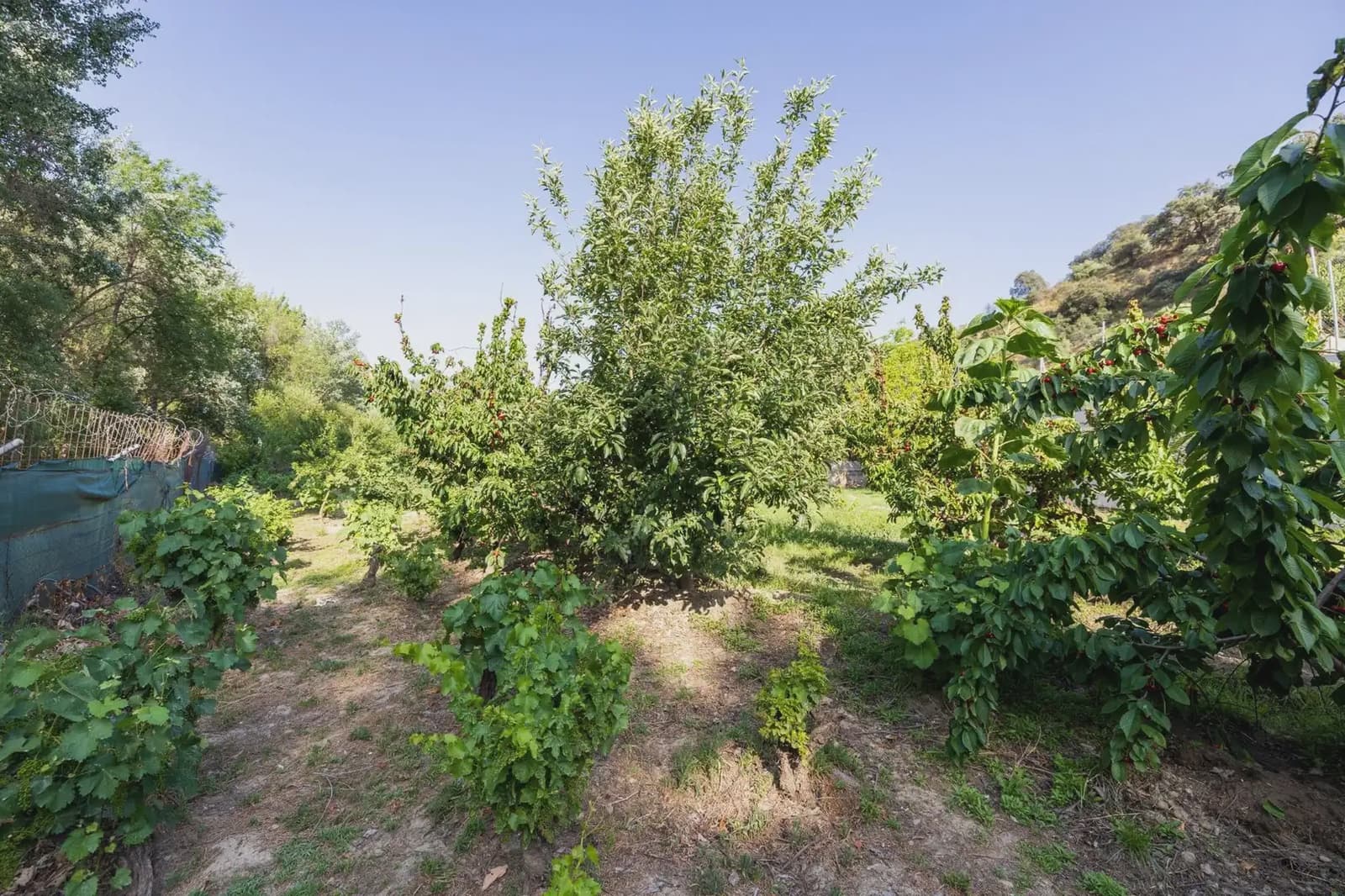 Grunde uden byggetilladelser til salg i Pinos Genil - € 138.000 (Ref: 9837273)