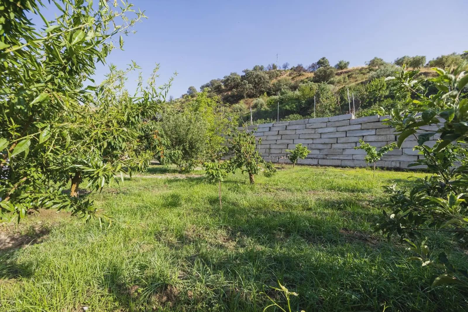 Grunde uden byggetilladelser til salg i Pinos Genil - € 138.000 (Ref: 9837273)