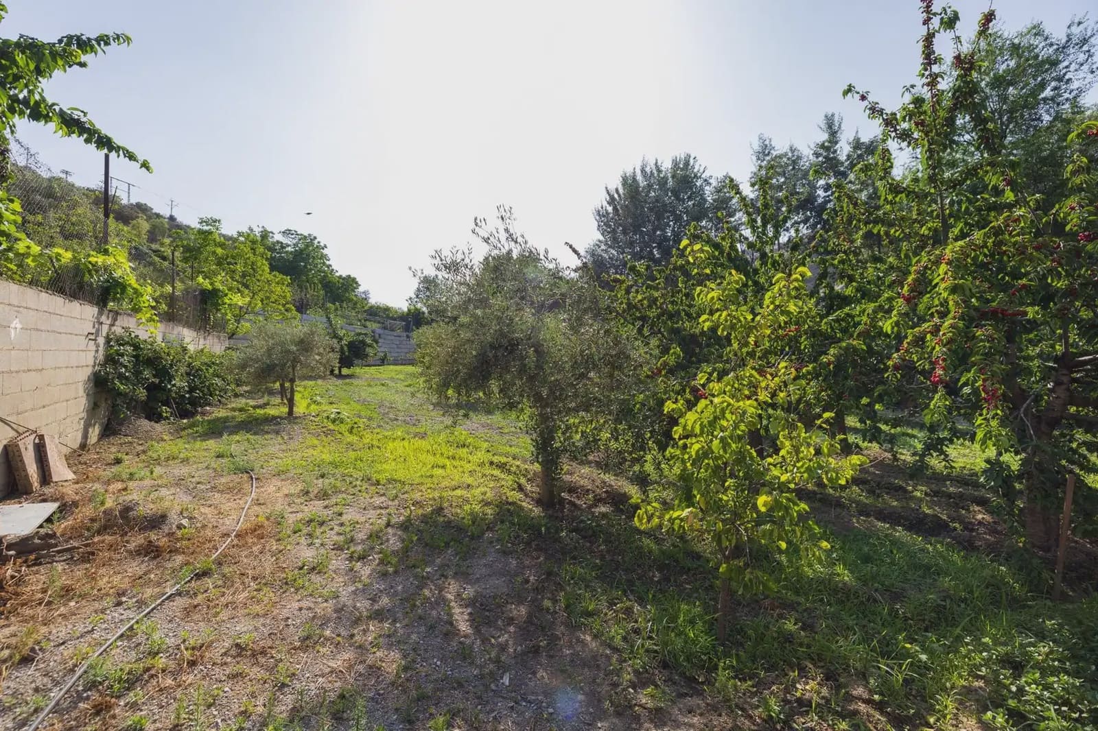 Grunde uden byggetilladelser til salg i Pinos Genil - € 138.000 (Ref: 9837273)