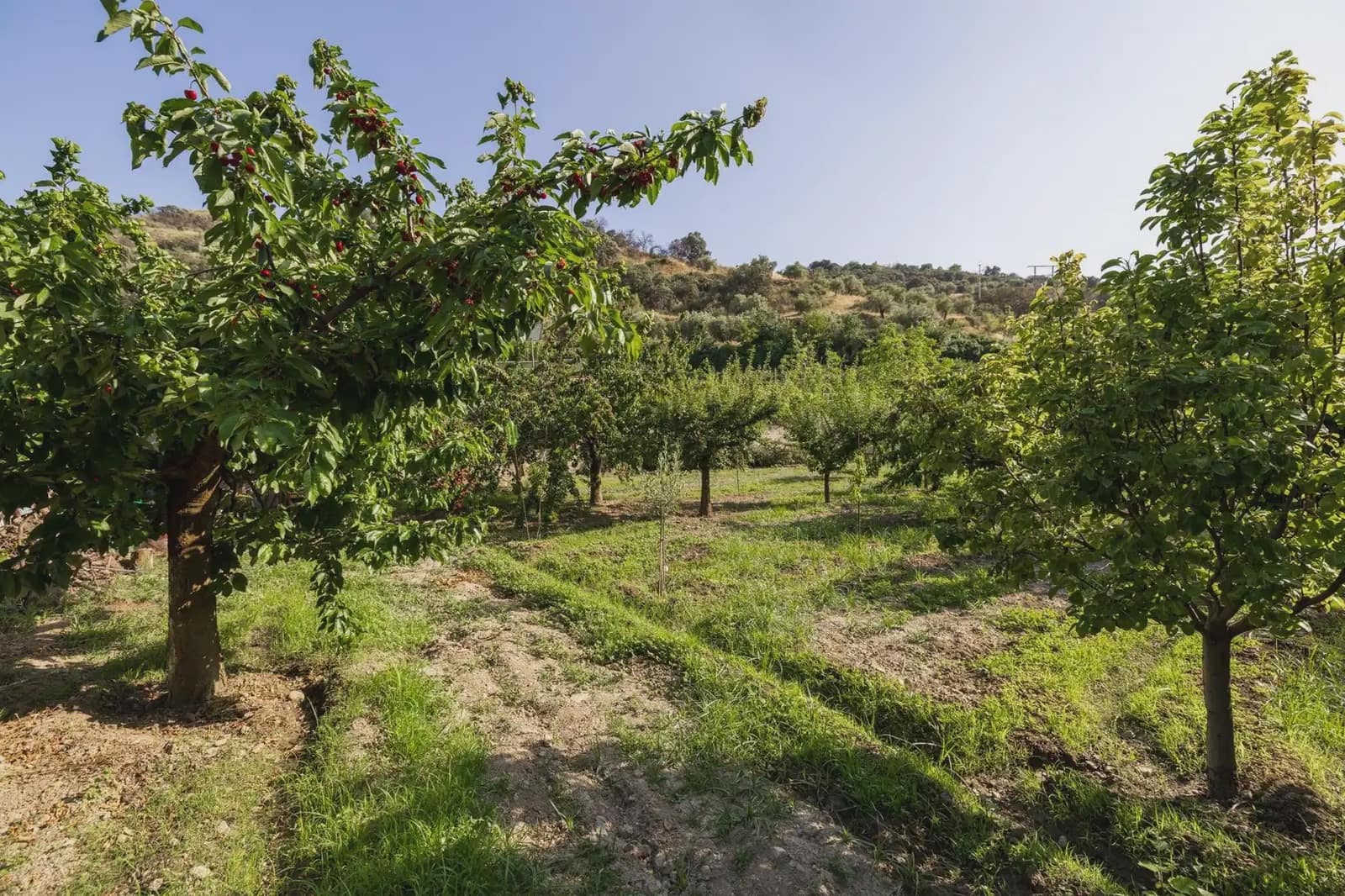 Grunde uden byggetilladelser til salg i Pinos Genil - € 138.000 (Ref: 9837273)